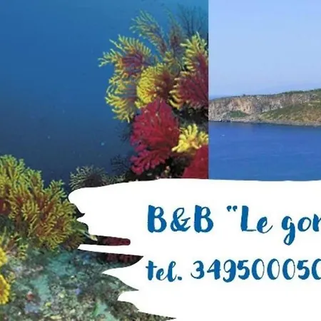 B&B Le Gorgonie-3